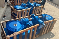 WhatsApp-Image-2025-11-12-at-15.31.04