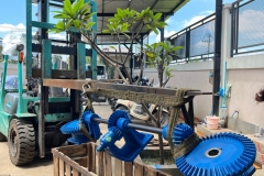 WhatsApp-Image-2026-03-17-at-15.20.41-scaled